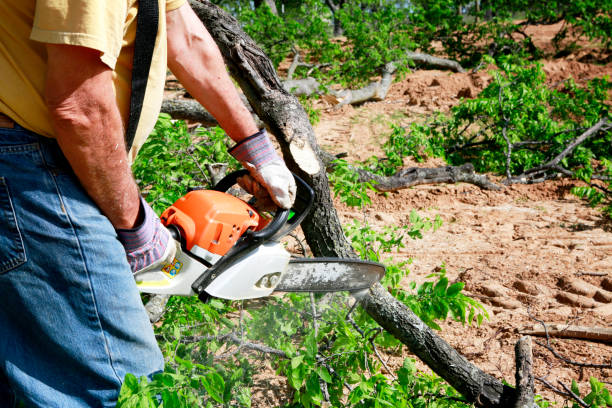 Lawn Irrigation Installation and Maintenance in Butler, IN